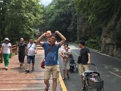 -陕西省红河谷森林公园