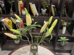 -铂尔登国际酒店(南山深圳湾口岸店)