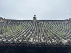 -洛阳白马寺