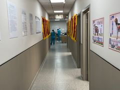 -嘉美宠物医院