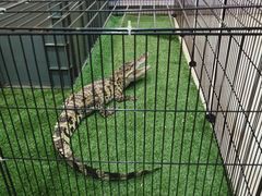 -平行世界·猫咖(首经贸店)