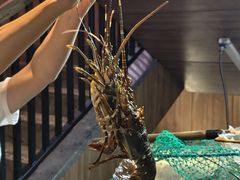 -黑木原精致料理·铁板烧