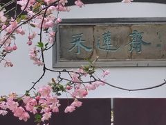 -莫愁湖公园