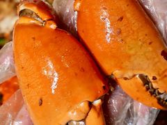 -喜记避风塘炒辣蟹(旗舰店)