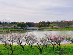 -上海海湾国家森林公园