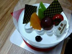 -龙兴·动物奶油生日蛋糕(龙北店)