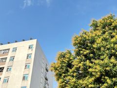 -燕子岗体育场