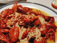 -杨氏青龙虾·羊蝎子(托乐嘉店)