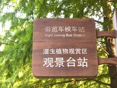 -上海滨江森林公园