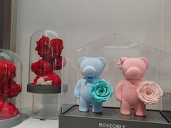 -ROSEONLY诺誓(广州K11店)