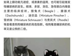 -瑞派申生动物医院·24H夜诊·国际动物医疗中心·骨外科(吴中路店)