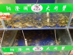 -阳澄湖大闸蟹·琼灵阁牌品牌连锁(吴中总店)