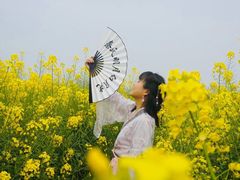 -尚贤河湿地