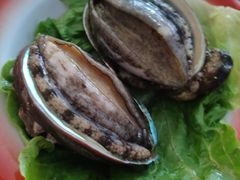 会跳舞的大鲍鱼-小龍鳳·港式海鲜打边炉(沙湖路店)