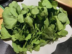 -南门四季铜锅涮肉(大屯·北苑店)