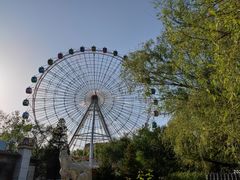 -青城公园