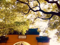 -西园戒幢律寺