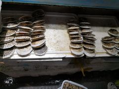 -岳各庄批发市场(西四环中路店)