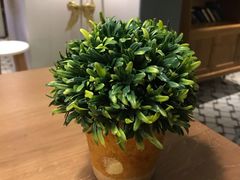 -大熊小厨(七星店)