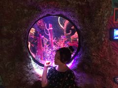 -沈阳海洋探索中心