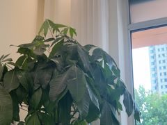 -八马茶业(星海胜利路旗舰店)