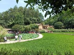 -韶山毛泽东同志故居