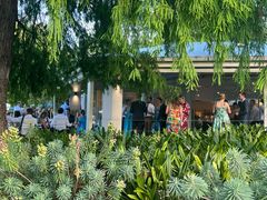 -墨尔本皇家植物园