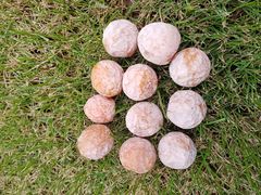 -四川大学(华西校区)