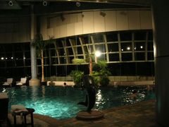 游泳池-杭州君悦酒店