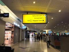 -约翰·菲茨杰拉德·肯尼迪国际机场