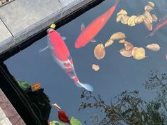 -西安市广仁寺