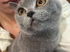 -佳雯宠物医院·皮肤科·内外科(春晓路分院)