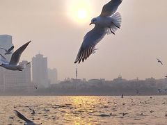 -石老人观光园