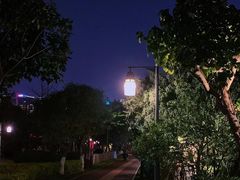 -金鸡岭桥头公园