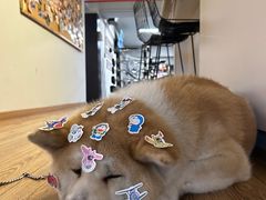 -YCHL Studios健身工作室(市二宫店)