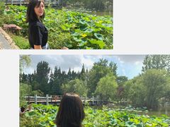 -梅林春晓花园餐厅