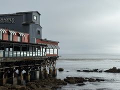 -Fish Hopper