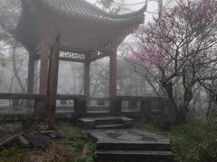 -庐山风景区花径公园