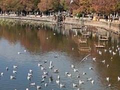 -丁记面馆(凤凰店)