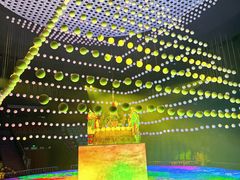 -芜湖方特旅游度假区