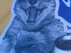 -燥次·烧烤酒场(万象城店)