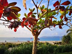 -三亚亚龙湾天域度假酒店