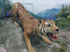 -国家自然博物馆