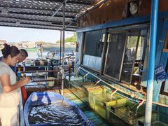 -蓝湾碧波·老字号·疍家非遗海上餐厅