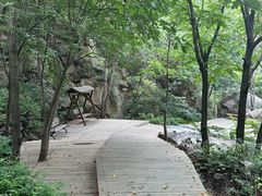 -大岭沟猕猴桃谷风景区