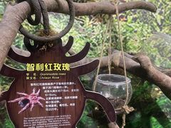 -广州长隆飞鸟乐园