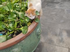 -李叔同故居纪念馆