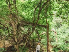 -北京密云天门山风景区
