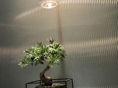 -青水瓦台汤泉(未央店)