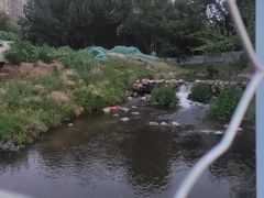 -长白岛森林公园